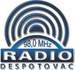 Puls 91.1 FM - Radio Despotovac Logo