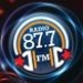 Danu Radio 87.7 - WNYZ-LP Logo