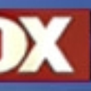 Fox 29 Logo