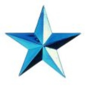 Swisssh Radio Logo