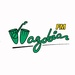 Wazobia FM 95.1 Lagos Logo