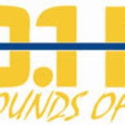 WLSO Logo