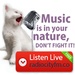Radio City FM Logo