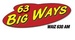 WAIZ Logo