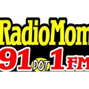 WIRE Logo