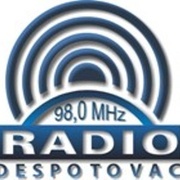 Puls 91.1 FM - Radio Despotovac Logo