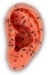 Radio Oorboord Logo