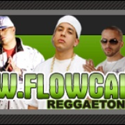Flow Callejero Logo
