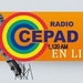 Radio CEPAD 1120 AM - YNCP Logo