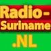 Radio Boskopu - 93.5 FM Logo