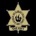 Albany County Sheriff, Fire, and EMS Logo
