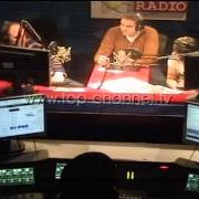 Top Albania Radio Logo