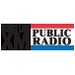 XM Public Radio - Sirius 196 Logo