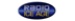 Radio Ice Age Logo