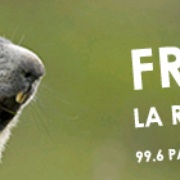 Frequence Luz Logo