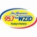 Hot Hits 94.1/103.1 - WZID-HD2 Logo