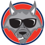 The Wolf - WYZB Logo