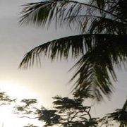Radio Bawelna Logo
