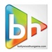 Bollywood Hungama Radio Logo