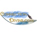 Radio Connection Divine Logo